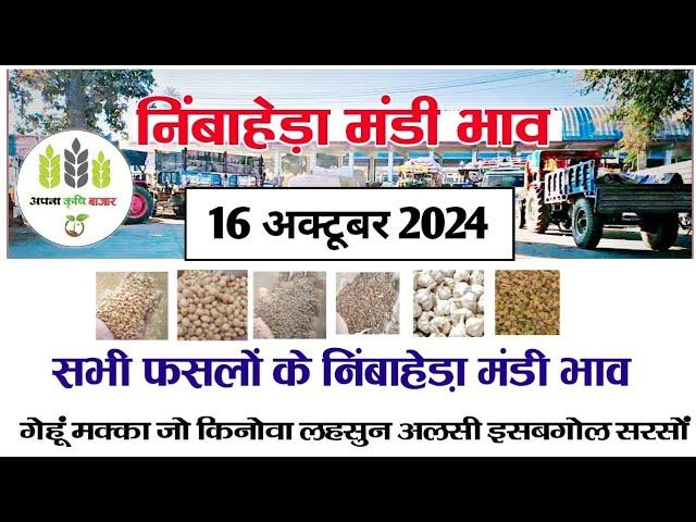 आज 16 अक्टूबर 2024 के सभी फसलों के निंबाहेड़ा मंडी भाव|Nimbahera mandi bhav today 16  October 2024