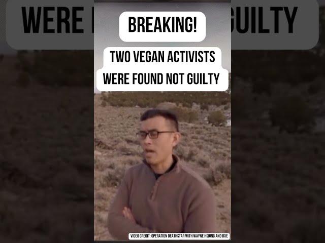 Vegan Activists Found Not Guilty After Taking Piglets from Utah Farm  #shorts