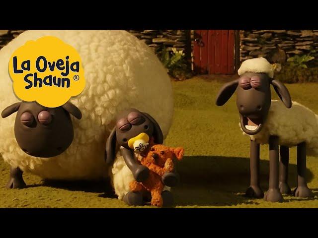 La Oveja Shaun  Ovejas dormidas  Dibujos animados para niños