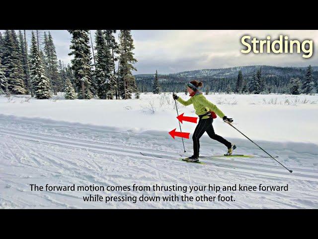 Basic Classic Ski Techniques: Striding