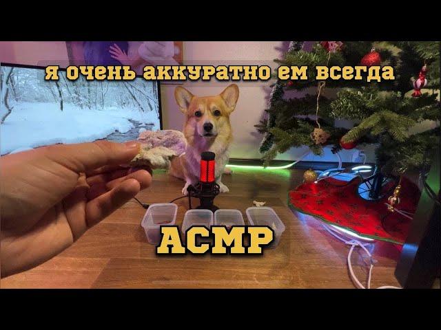ДЛИННЫЙ ЯЗЫЧОК НА АСМР ОТ КОРГИ СЫРКА