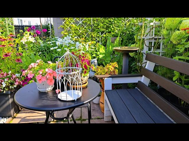 A Very Peaceful and Relaxing Tiny Garden Tour | Plants Flowers Birds Pollinators #garden #new