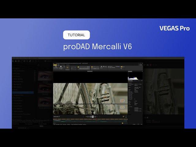 proDAD Mercalli V6 x VEGAS Pro 21 | Step-by-step guide for video stabilization