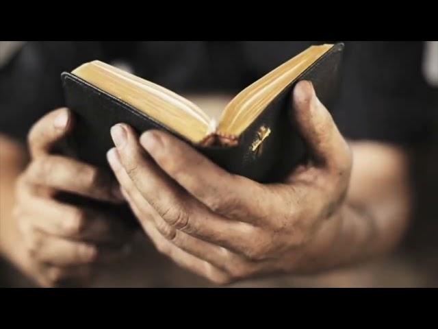 Here's What People Need To Know About Man Living To 1000 | The Bible's History is TRUE History