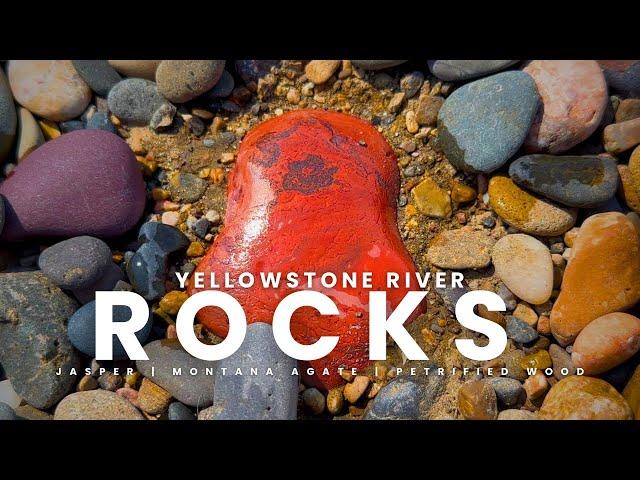 Rocks of The Yellowstone River [Hunting Rocks with KatyDid & Theo Kellison]