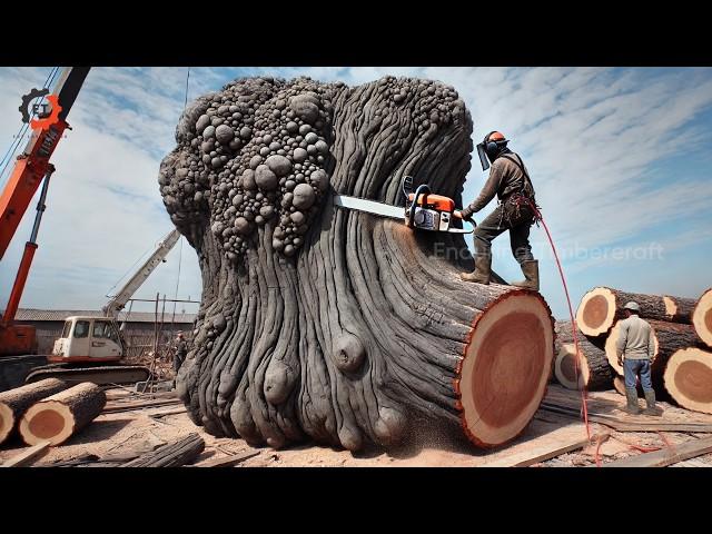 The Greatest Wood Cutting And Sawing Factory Do You Think This Tree Is 6000 Years Old?