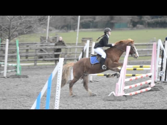 Millie & Sox 2'3 Snowball Farm