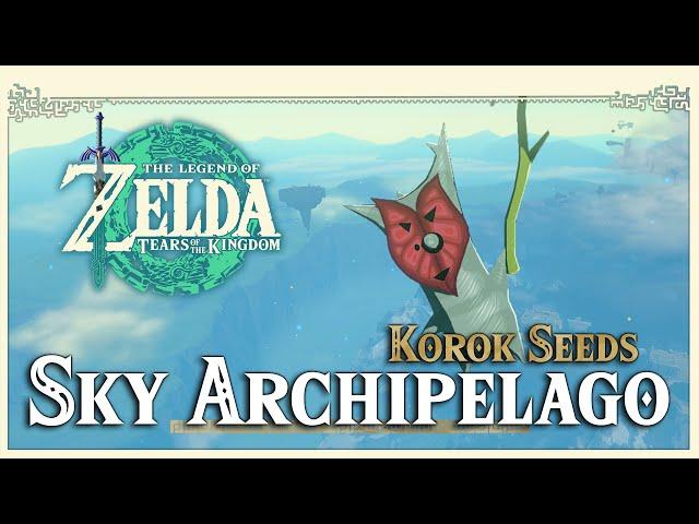 Sky Archipelago Korok Seeds • Zelda Tears of the Kingdom TOTK