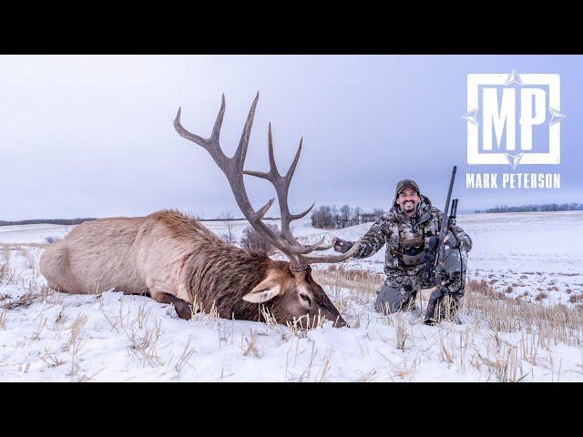 Late Season Snowy Alberta Elk Hunt | Mark Peterson Hunting