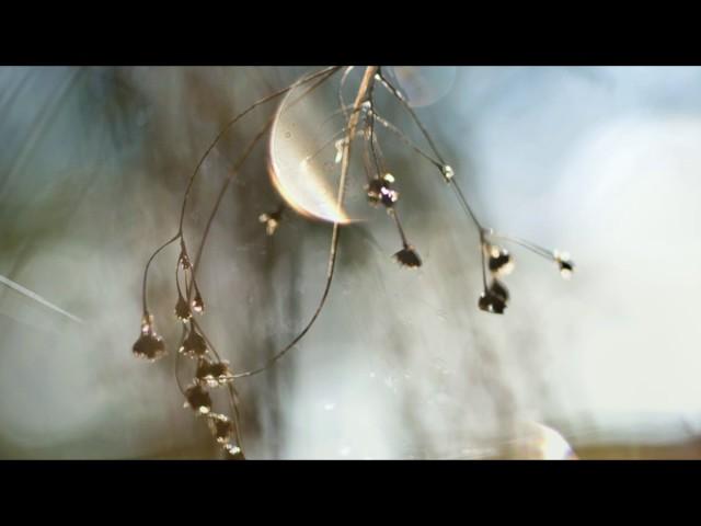 Harfenmusik "Glihbeams Trost" (von Stefanie Bieber)