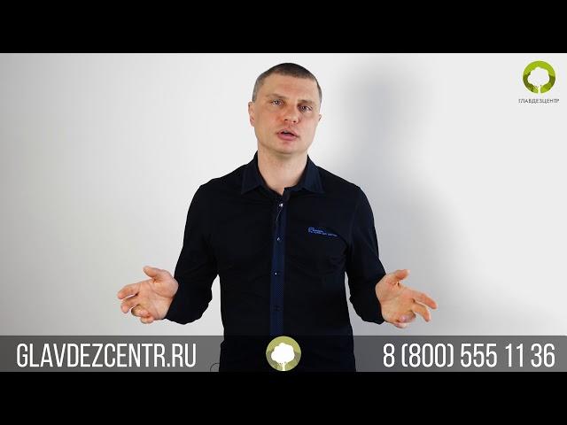 Чешуйница | СЭС Главдезцентр