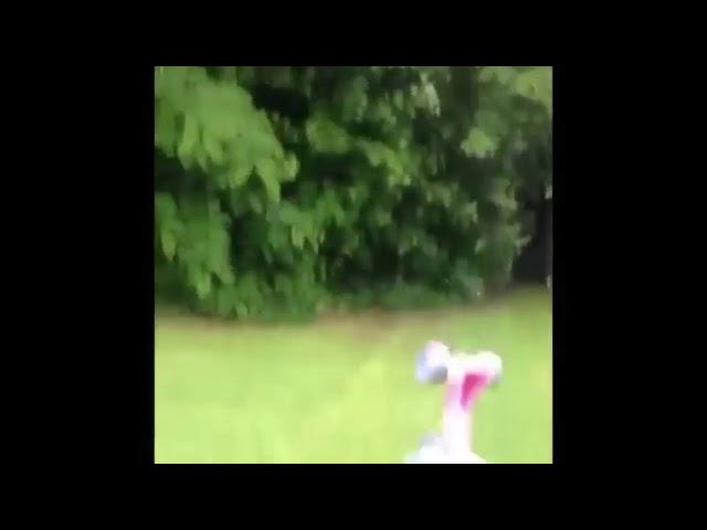 another dumb vine compilation because rip vine or some crap like that