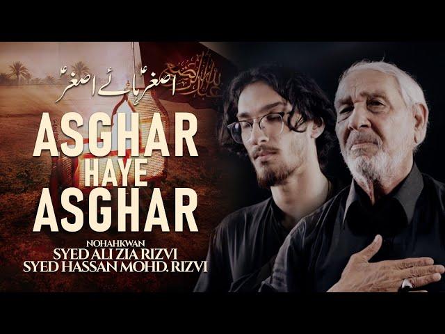 Noha Asghar Haye Asghar | Syed Ali Zia Rizvi & Hasan Mohammad Rizvi | Muharram 1446AH/2024