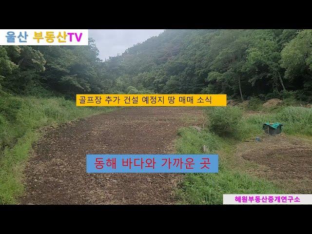 [울산부동산TV] 울산 동해 바다 근접,  골프장 건설 예정지 토지 매매 소식입니다.