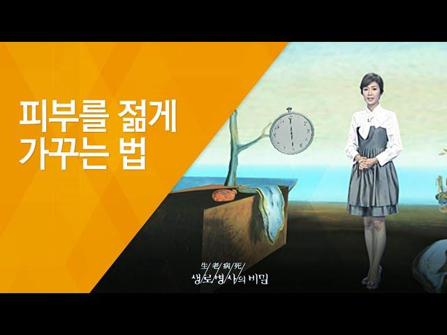 피부를 젊게 가꾸는 법 - (2009.09.10_301회 방송)_피부노화방지 프로젝트, 젊은 피부로 사는 법