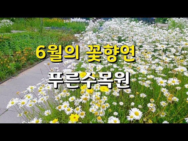 [여행로그] #푸른수목원 6월의 꽃들과 자연풍경. Seoul Blue Arboretum