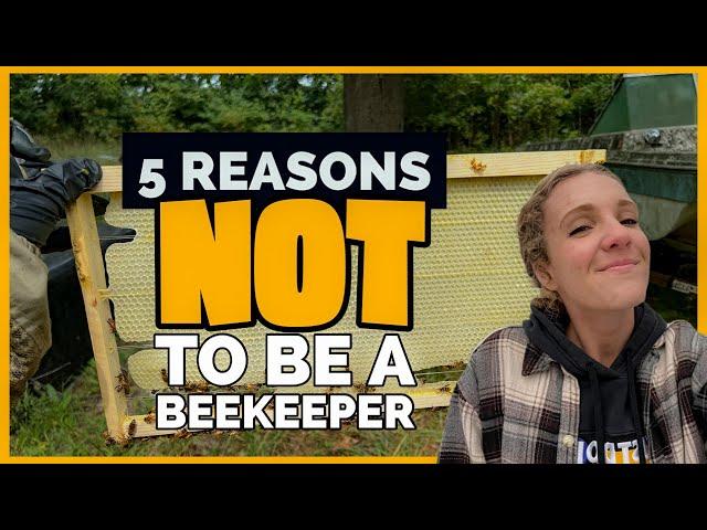 WATCH THIS Before You Start Beekeeping! / Beekeeping 101 #beekeeping