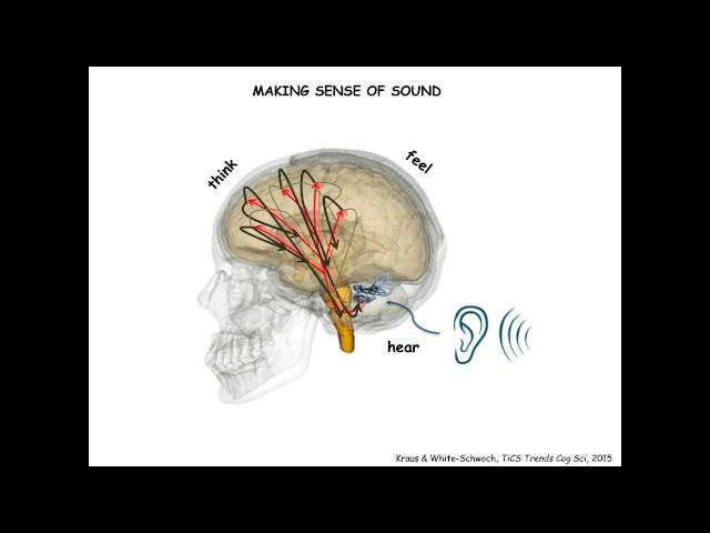 Neurobiology of Literacy: Listening to the Learning Brain (Nina Kraus)