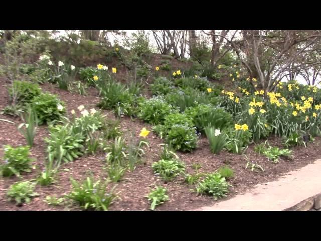 Chicago Botanic Garden