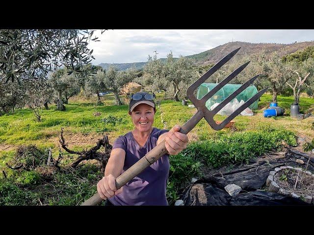 A GARDEN MAKEOVER & A VERY ANNOYING SURPRISE - Off Grid in Portugal