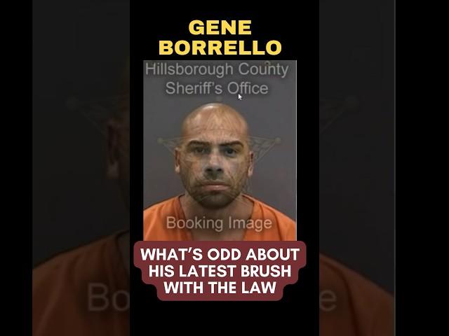 GENE BORRELLO | Strange Details Emerge From His Latest Arrest #geneborrello