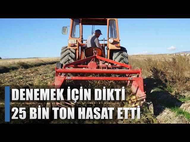 Denemek İçin Dikti İki İlçeye Geçim Kaynağı Oldu! 25 Bin Ton Hasat / AGRO TV HABER