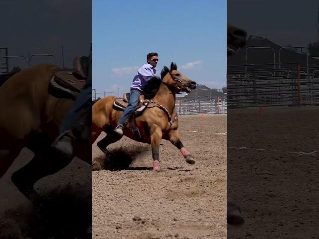 #nsca #omoksee #horse #rodeo #horseshow #western #westernriding #youtubeshorts #subscribe