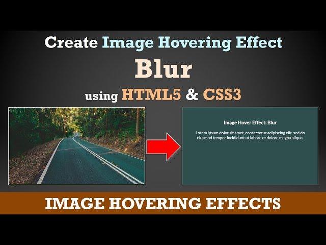 CSS Image Hover Effects - Pure CSS Tutorial - How To Create Image Hover Overlay Effects - Blur