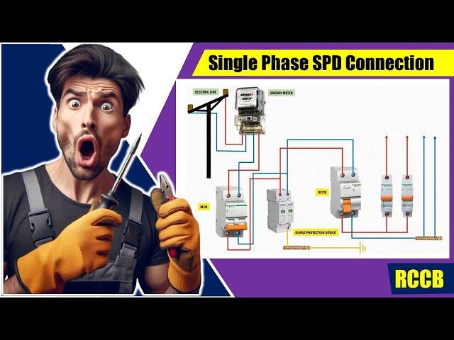 Single Phase SPD Connection Diagram | Surge Protection Device (SPD) Connection in Single Phase DB