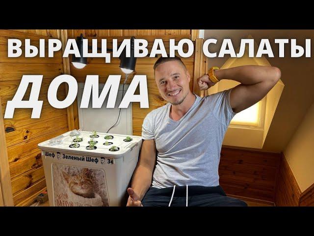 Гидропоника дома зелень круглый год установка своими руками