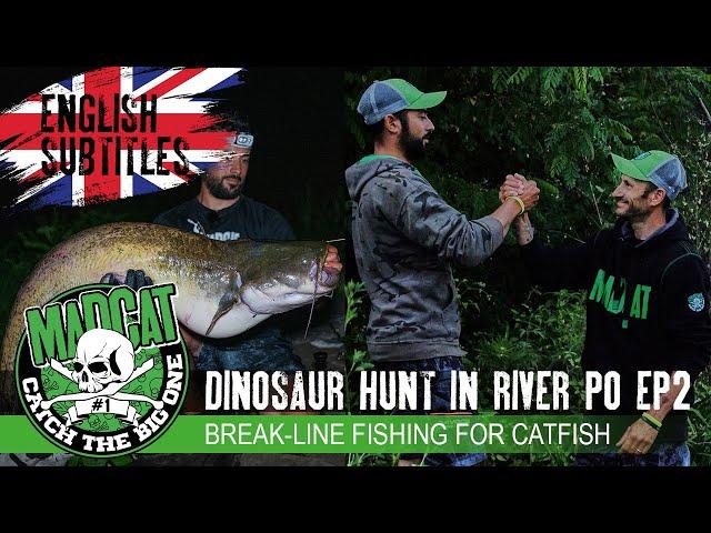 Dinosaur Hunt in River Po Ep#2 - Break-line fishing for BIG catfish