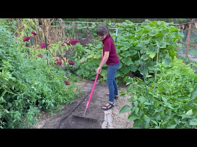 Soil Health On A Small Scale: Cover Crops for Gardeners
