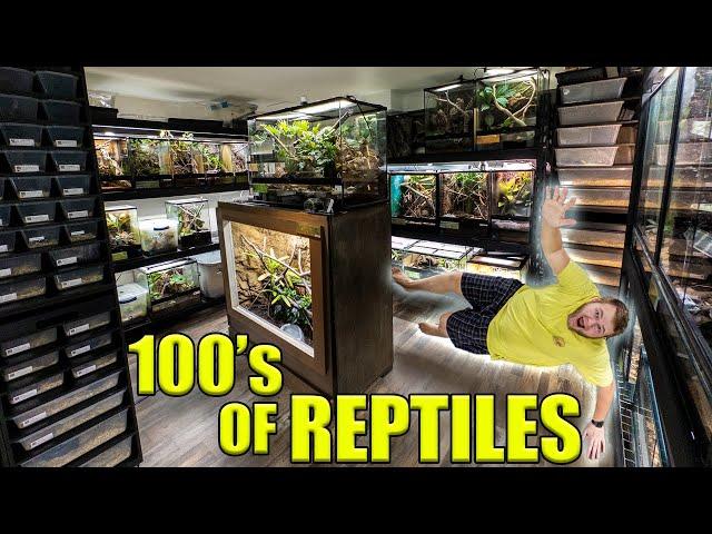 Reptile Room Tour September 2024!! 145+ PET Reptiles and Amphibians!