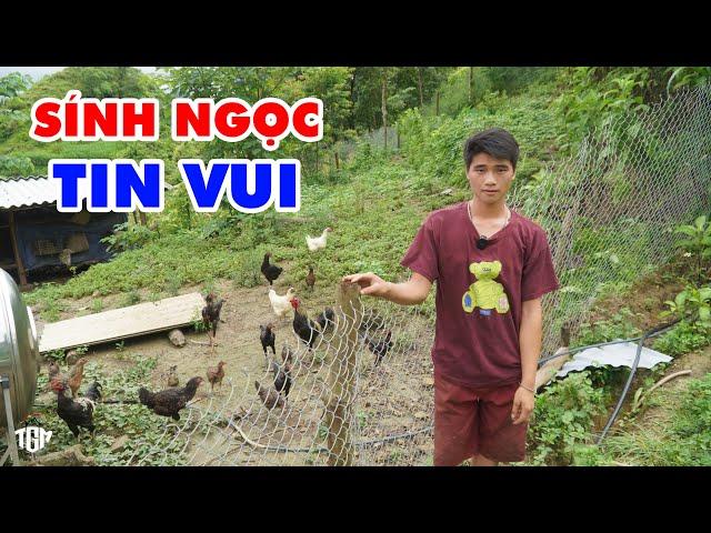 Vợ chồng Sính Ngọc đã có Tin Vui từ mô hình gà Mông của Mình. Sau tất cả những thất bại từ lợn