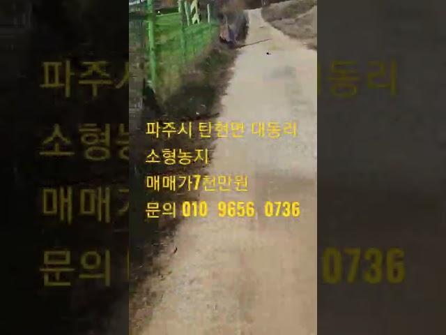 파주시 탄현면  대동리 소형농지 110평    매매가 7천만원 거래완료! 문의 010  9656  0736