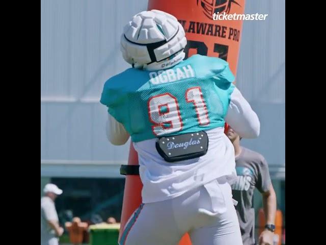 Two weeks of work in the books. We keep building.