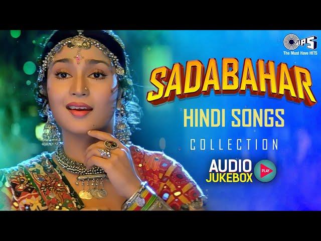 Sadabahar Hindi Songs Collection | 90s Hits Hindi Song |90s Evergreen Hindi Love Songs Audio Jukebox