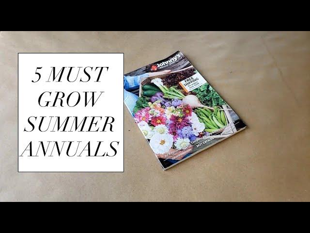 5 Must Grow Summer Annuals on any Flower Farm