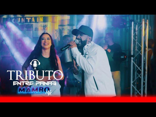 TRIBUTO ENTRE PANAS MAMBO MIX Shakira Miley Cyrus Karol G  Rosalía Myke Towers Feid Manuel Turizo