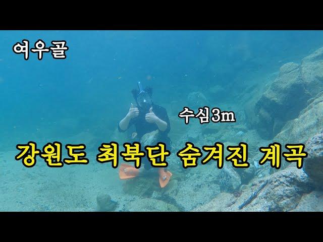 강원도 철원에 사람한명없는 숨겨진계곡 공개합니다! 최대수심 2.5~3m 크지는 않지만 조용히 다녀오기좋을거같습니다. 오지계곡ㅣ철원계곡 ㅣ 비밀계곡