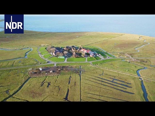 Wattenmeer: Neuanfang auf Hallig Hooge | die nordstory | NDR