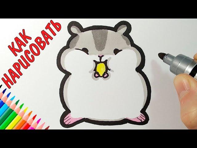 How to draw a hamster, easy drawings for sketching