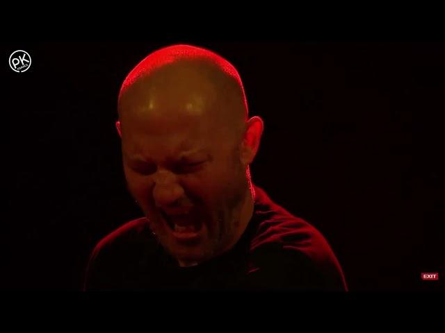 PAUL KALKBRENNER - FEED YOUR HEAD LIVE @ EXIT FESTIVAL 2021