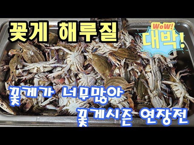 꽃게가 아직 많아서 졸업식연기 #해루질 #꽃게