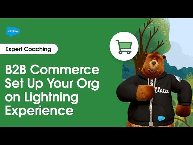 B2B Commerce: Set Up Your Org on Lightning Experience | Expert Coaching