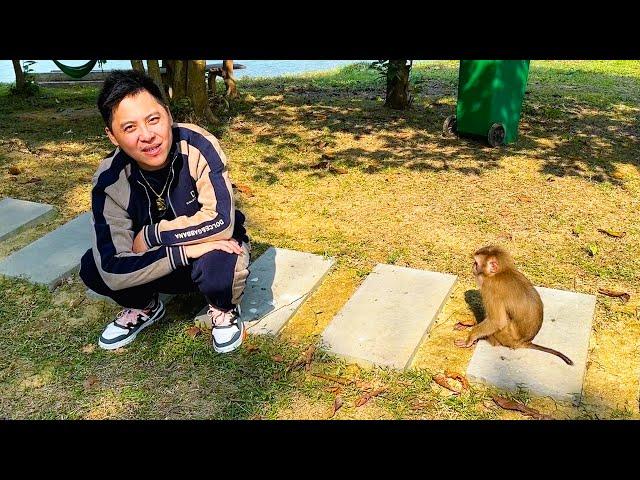 The Unforgettable Reunion: Monkey Kaka Meets Her Dad Again