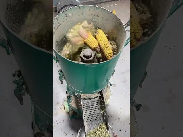 High-Efficiency Feed Pellet Machine in Action#FeedPelletMachine #AnimalFeed #FarmingEquipment