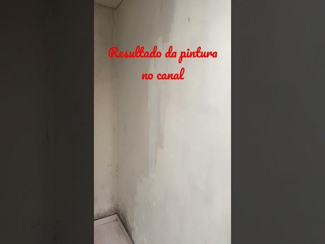 #familiabrandt #family #dailyvlog #vlog #familyvlog #familia #brandt #pintura