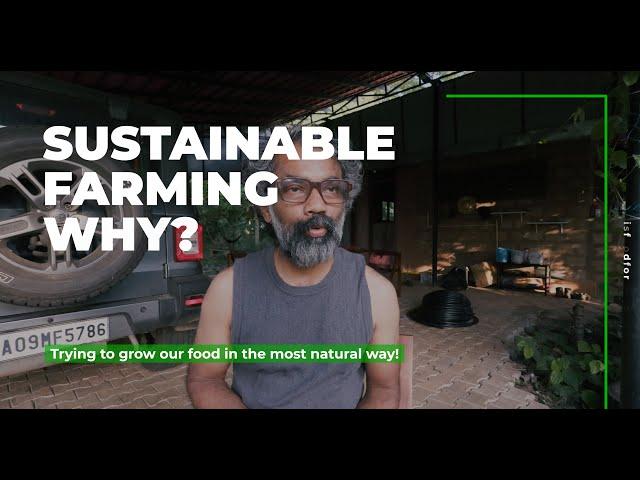 Sustainable Farming Explained | How It Can Save Our Planet 