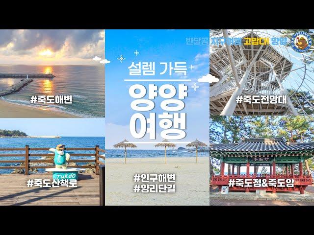 [양양 EP.03] 고맙다! 양양! / 죽도해변 / 죽도산책로 / 죽도암/ 죽도정 /죽도전망대 / 인구해변 / 양리단길 / 양양 서핑로드